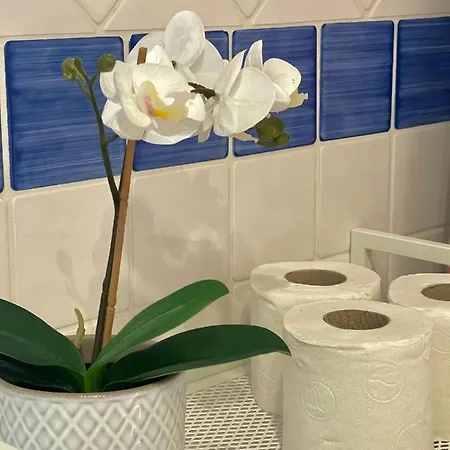 Grupo Morgado - Quinta Do Morgado - Morgado Exclusive * Tavira