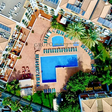 Grupo Morgado - Quinta Do Morgado - Morgado Exclusive *