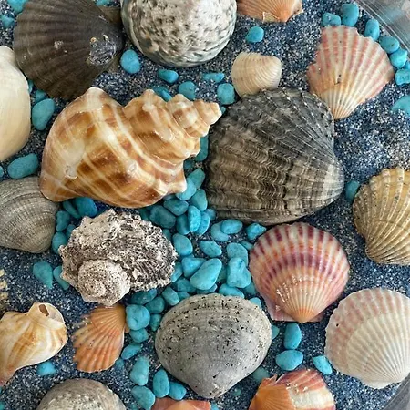 Grupo Morgado - Quinta Do Morgado - Morgado Exclusive *