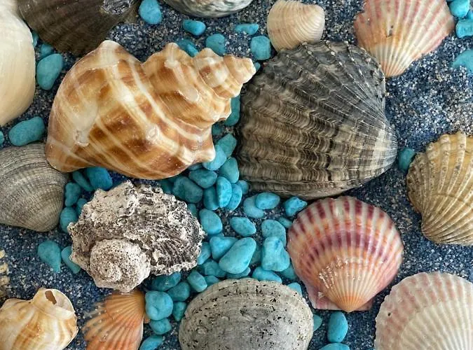 Grupo Morgado - Quinta Do Morgado - Morgado Exclusive *