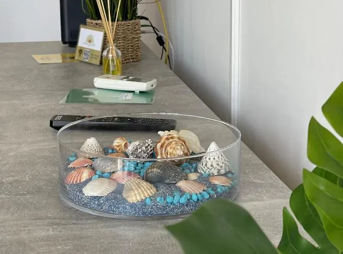 Grupo Morgado - Quinta Do Morgado - Morgado Exclusive 塔维拉