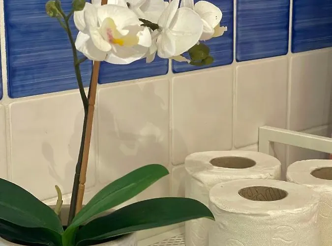 Grupo Morgado - Quinta Do Morgado - Morgado Exclusive * 塔维拉